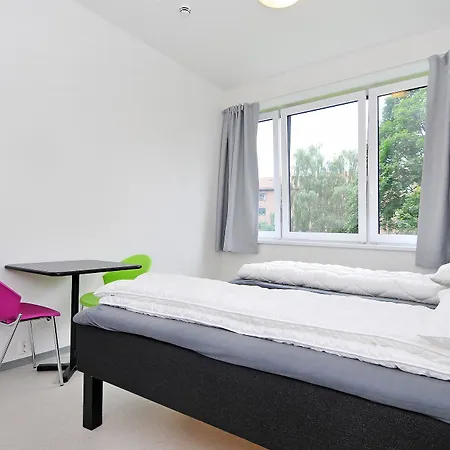 Anker - Gruenerlokka *