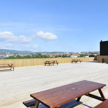 Anker - Gruenerlokka *