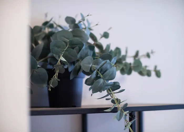 Anker - Gruenerlokka Lägenhet Oslo