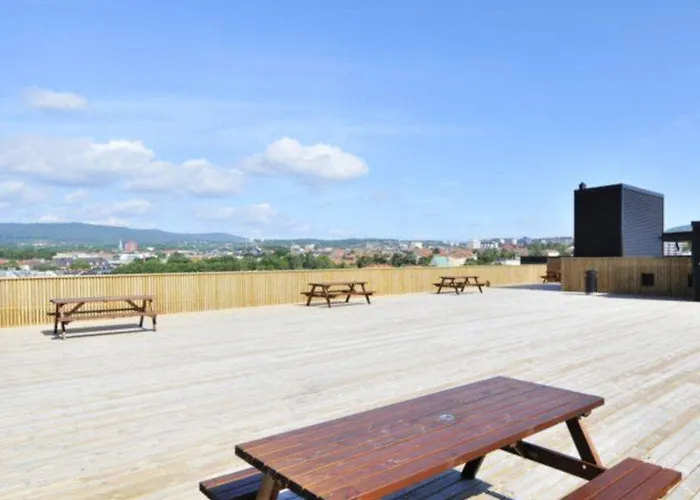 Anker - Gruenerlokka *